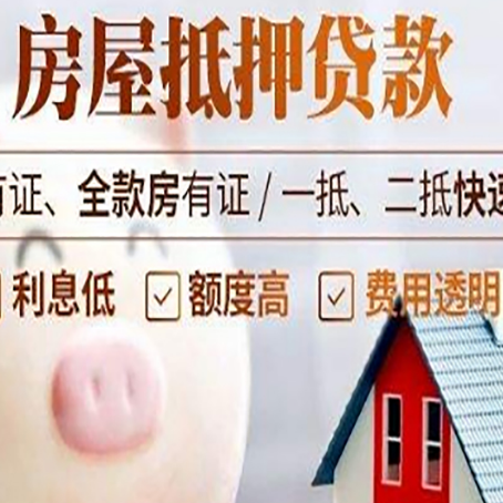 保靖贷款助贷公司新渝启服靠谱公司